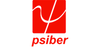 Psiber Data Systems, Inc.